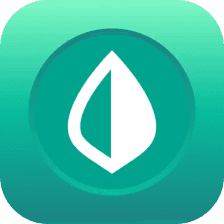 Mint Logo