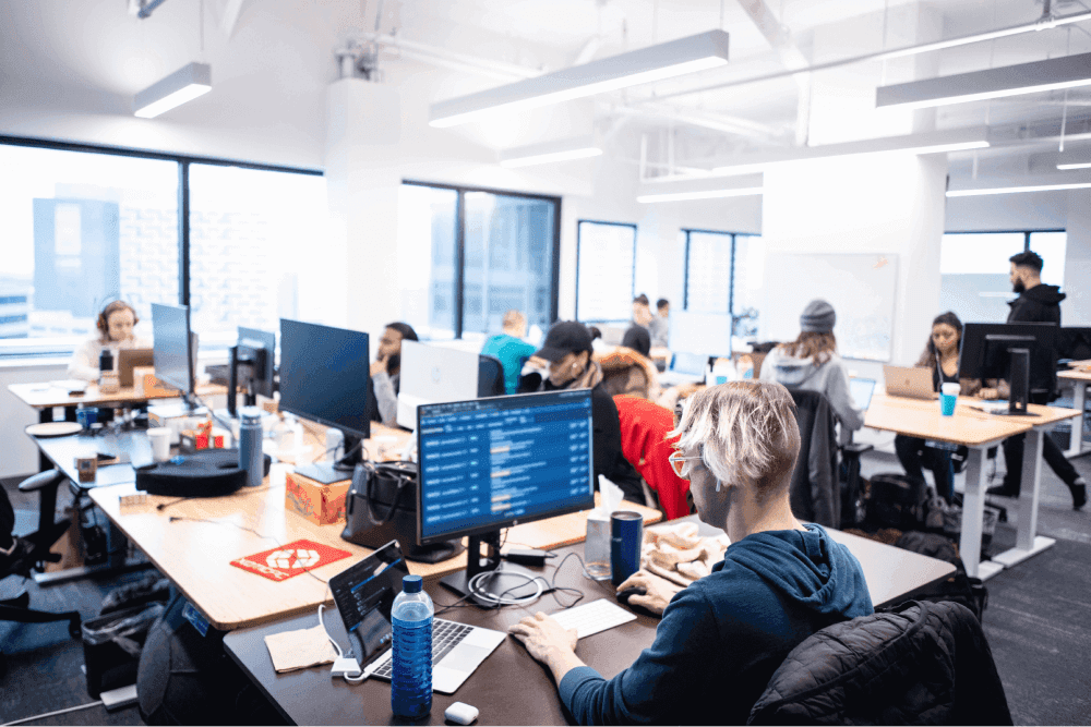 Employees working at the Rocket Money office